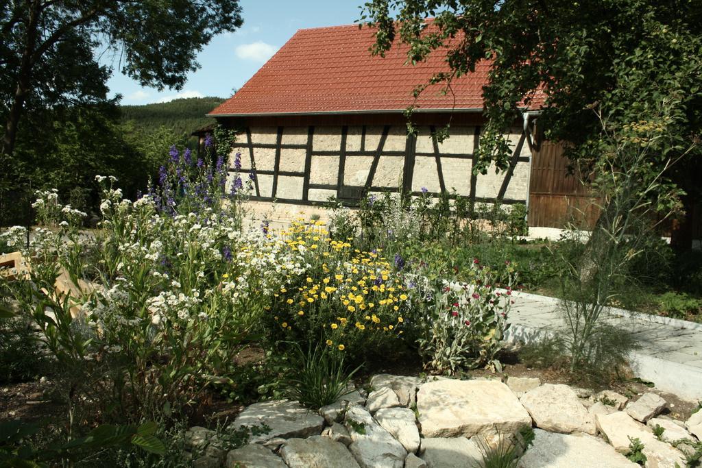 شقة Cafe Landart Im Thueringer Finistere Plaue  الغرفة الصورة