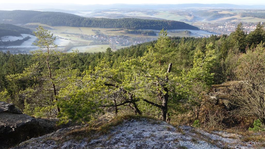 شقة Cafe Landart Im Thueringer Finistere Plaue  المظهر الخارجي الصورة