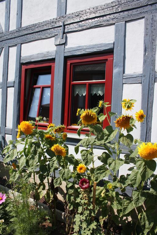 شقة Cafe Landart Im Thueringer Finistere Plaue  المظهر الخارجي الصورة
